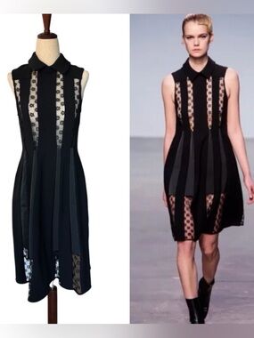 Thakoon Collection Runway Collared Sheer Lace Panel Black Dress Goth sz 4